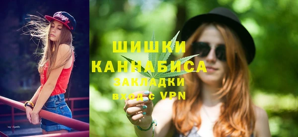 сатива Новодвинск