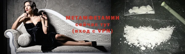 сатива Новодвинск