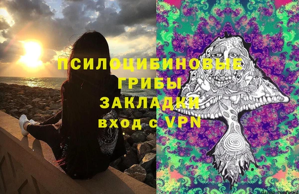 СК Новокубанск