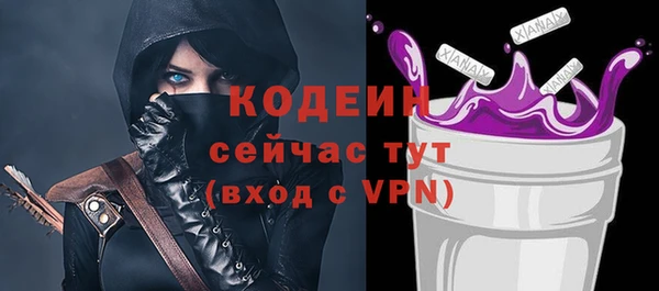 сатива Новодвинск