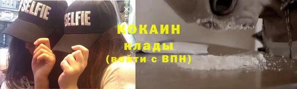 сатива Новодвинск