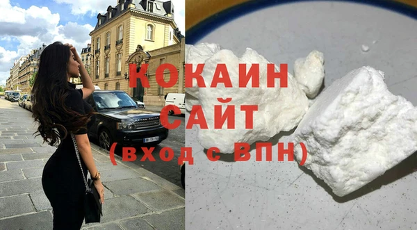сатива Новодвинск