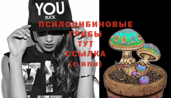 круглые Нягань