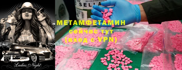 сатива Новодвинск